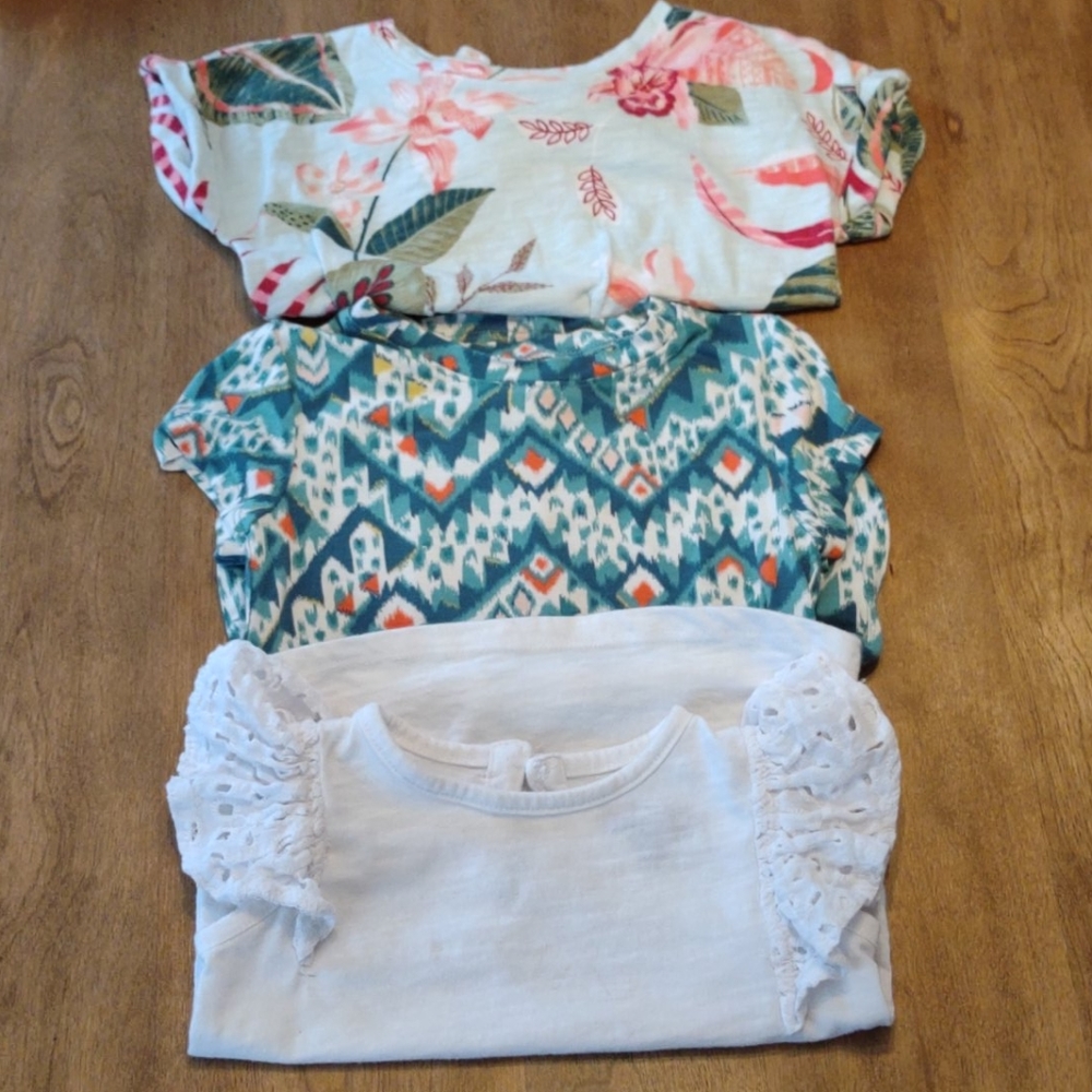 Lot of 3 toddler girl tops